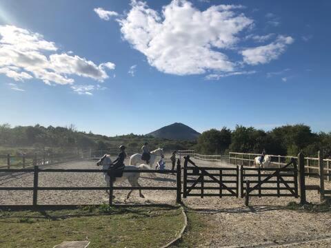 Letterfrack Farmhouse on equestrian farm in Letterfrack Tullywee Bridge Extérieur photo
