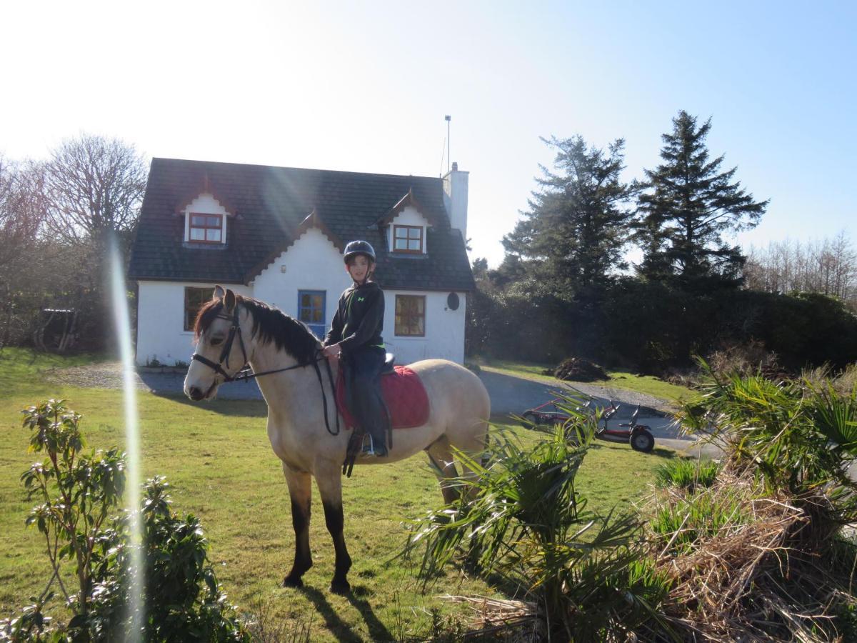 Letterfrack Farmhouse on equestrian farm in Letterfrack Tullywee Bridge Extérieur photo