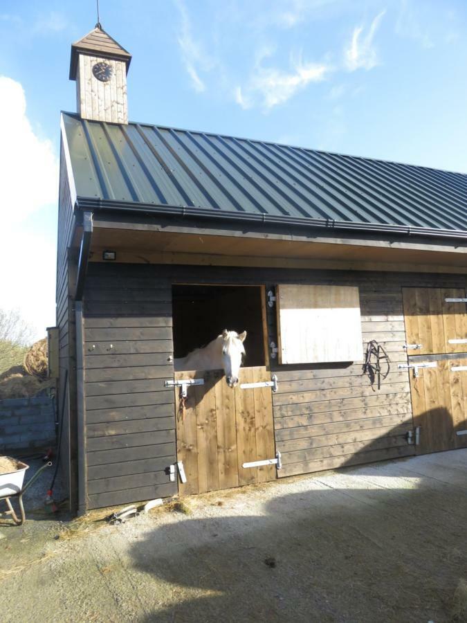 Letterfrack Farmhouse on equestrian farm in Letterfrack Tullywee Bridge Extérieur photo